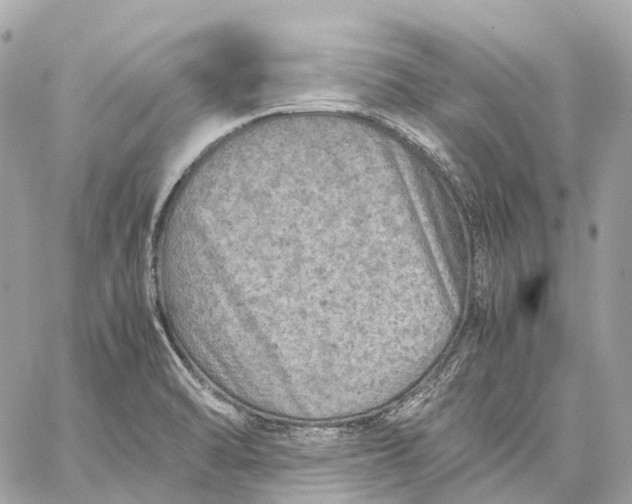 X0000059251470200511041321