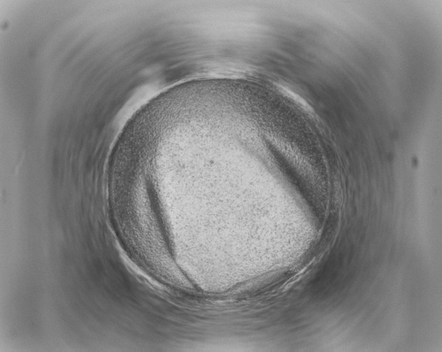 X0000059251471200511041321