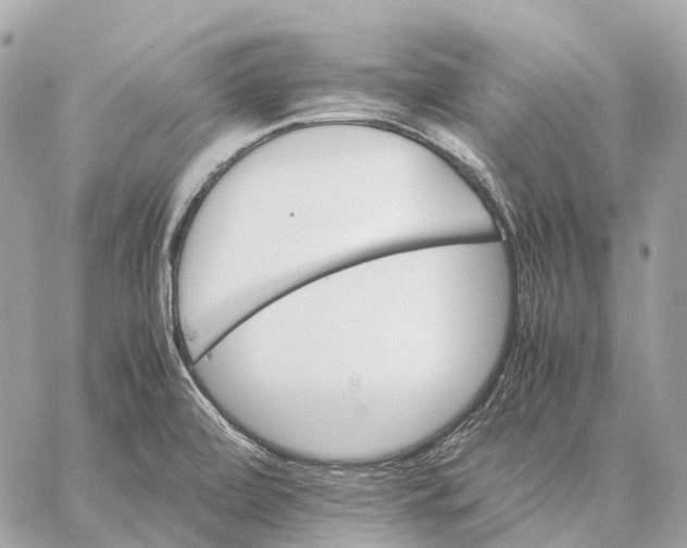 X0000059251472200511041321