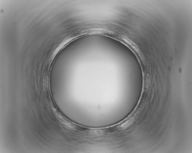 X0000059251473200511041321