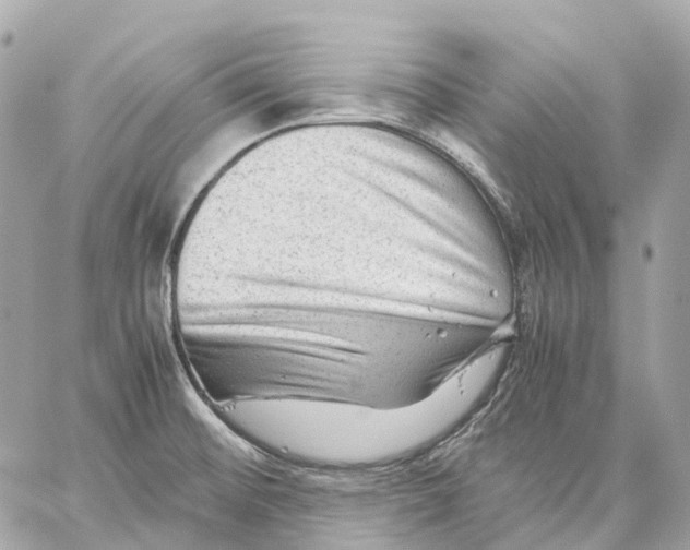 X0000059251476200511041321