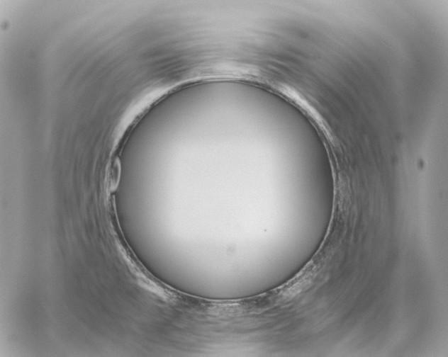 X0000059251477200511041321