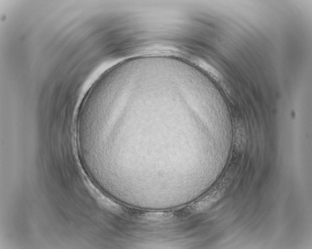 X0000059251478200511041321