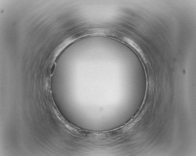 X0000059251481200511041321