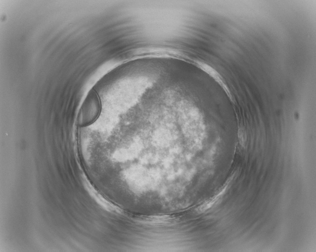 X0000059251482200511041321