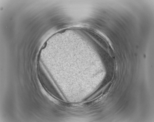 X0000059251483200511041321