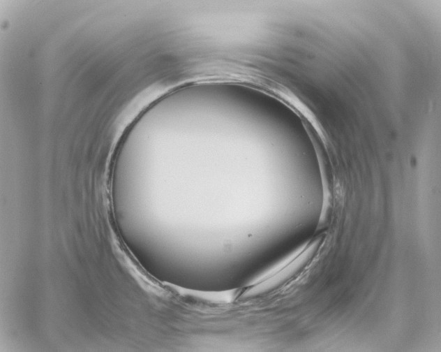 X0000059251485200511041321