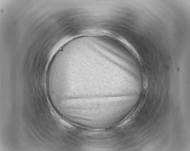 X0000059251486200511041321