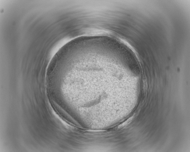 X0000059251487200511041321