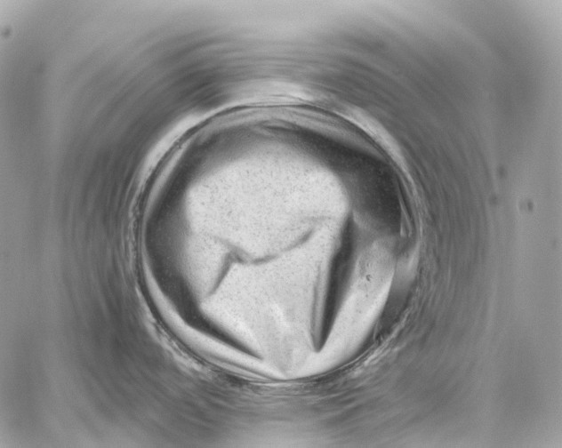 X0000059251488200511041321