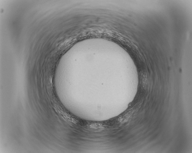 X0000059251489200511041320