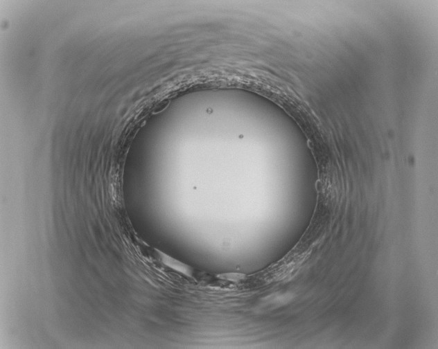 X0000059251490200511041320