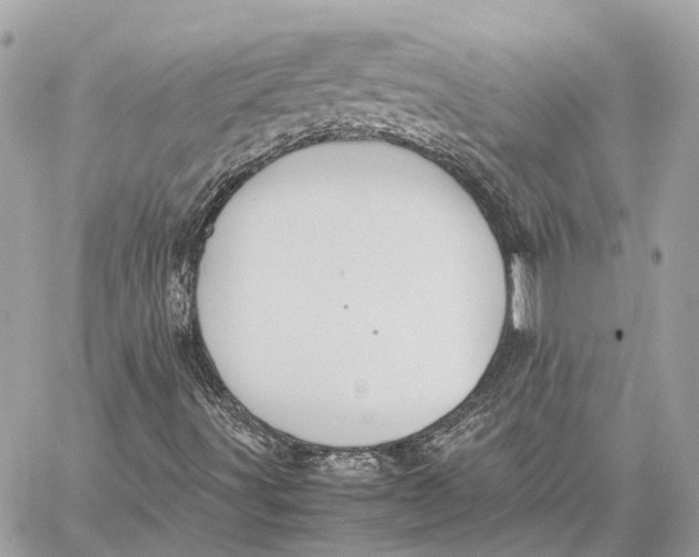 X0000059251491200511041320