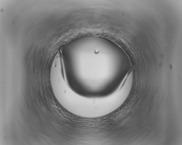 X0000059251492200511041320