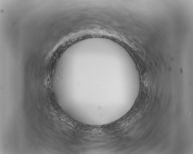 X0000059251495200511041320