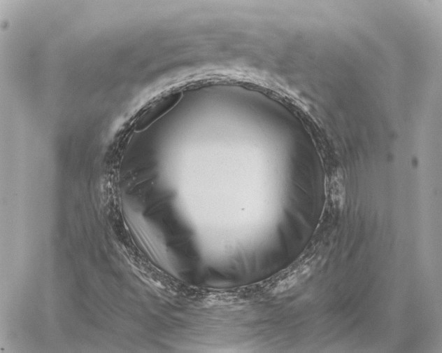 X0000059251496200511041320