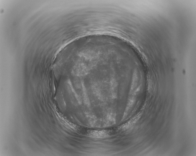 X0000059251497200511041320