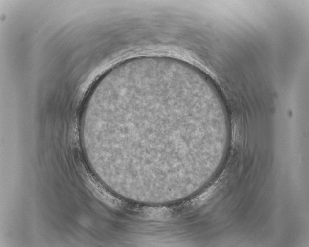 X0000059251498200511041320