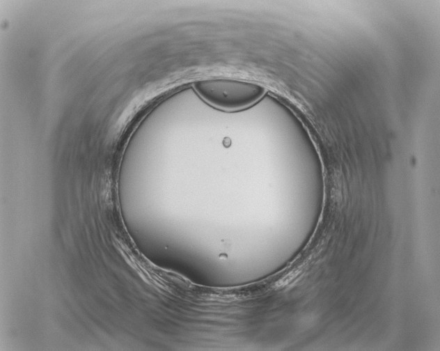 X0000059251499200511041320