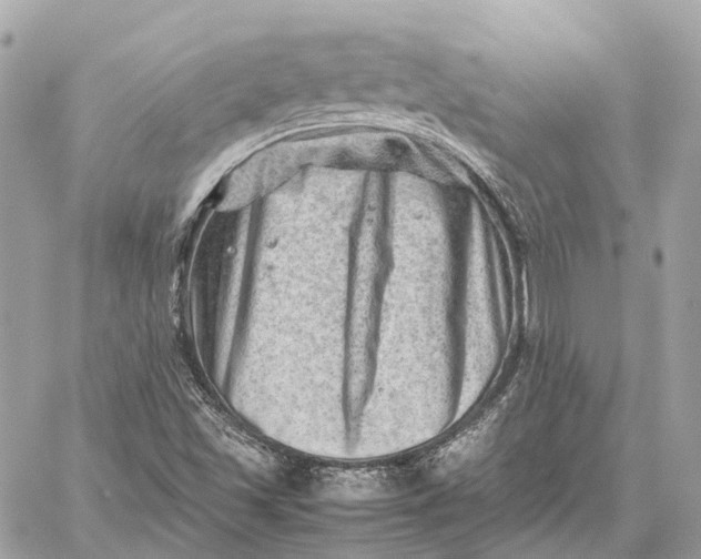 X0000059251501200511041320