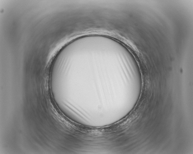 X0000059251504200511041320