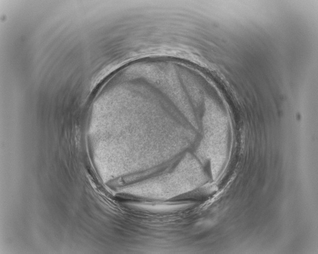 X0000059251505200511041320