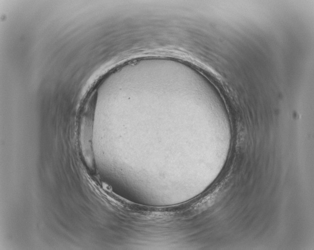 X0000059251506200511041320