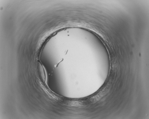 X0000059251507200511041320