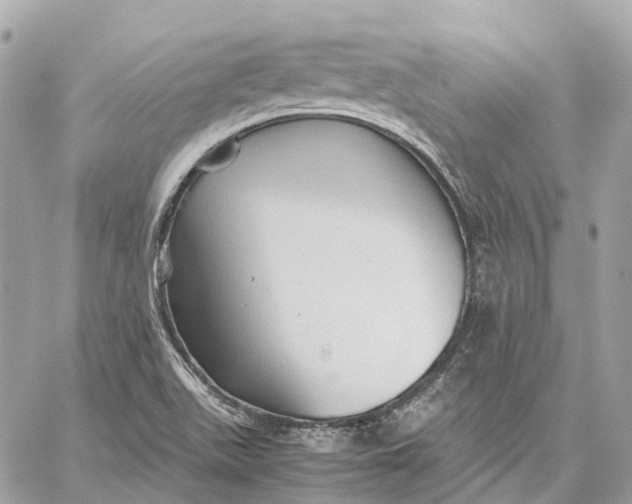 X0000059251511200511041320