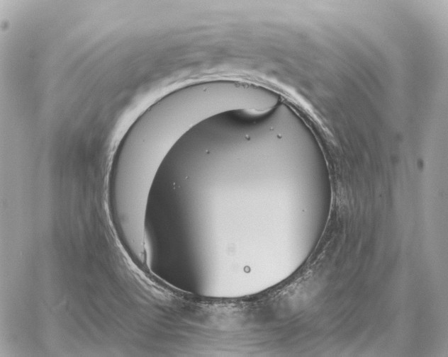 X0000059251512200511041320