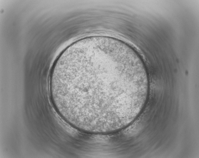 X0000059251514200511041320