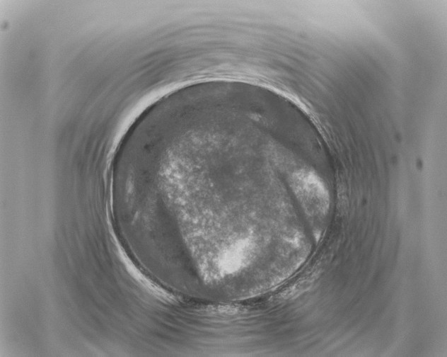 X0000059251515200511041320