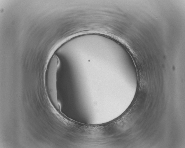 X0000059251516200511041320