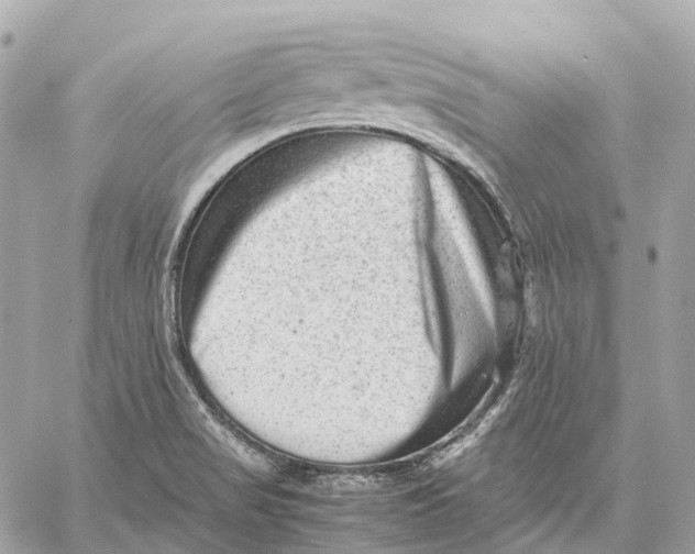 X0000059251517200511041320