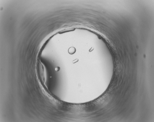 X0000059251518200511041320