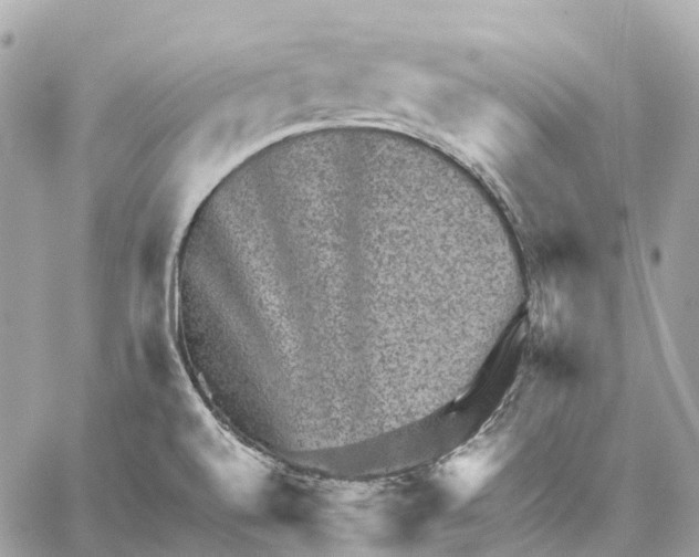 X0000059251520200511041320