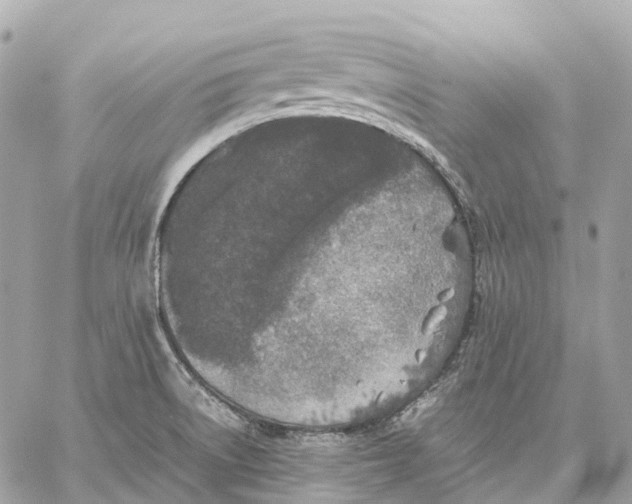 X0000059251522200511041320