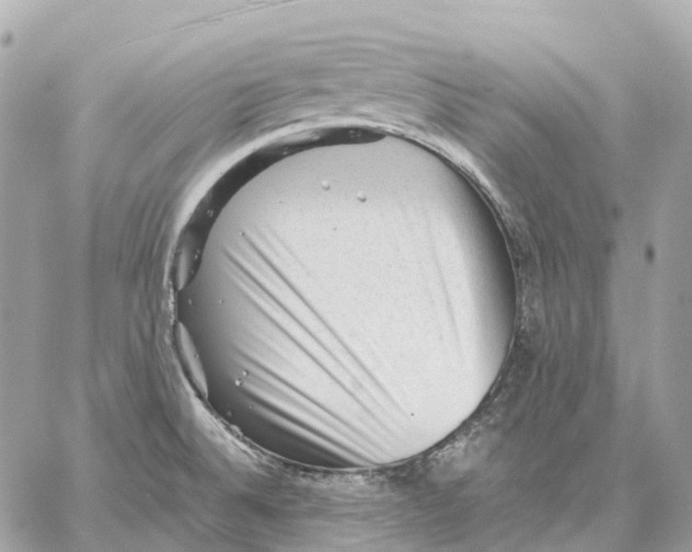 X0000059251524200511041320