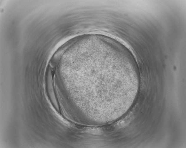 X0000059251525200511041320