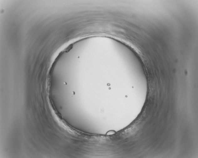 X0000059251526200511041320