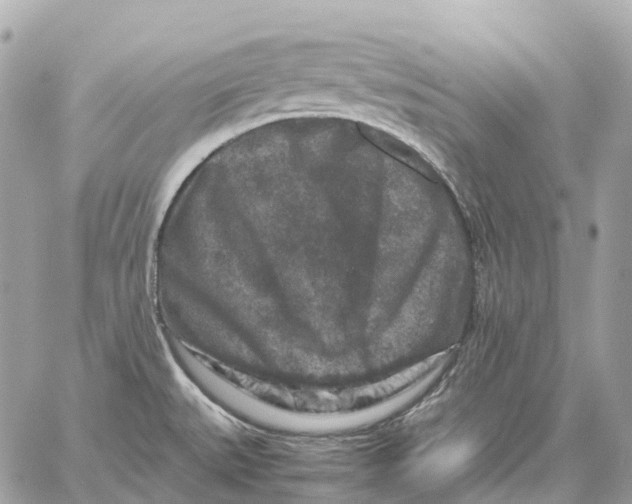 X0000059251527200511041320