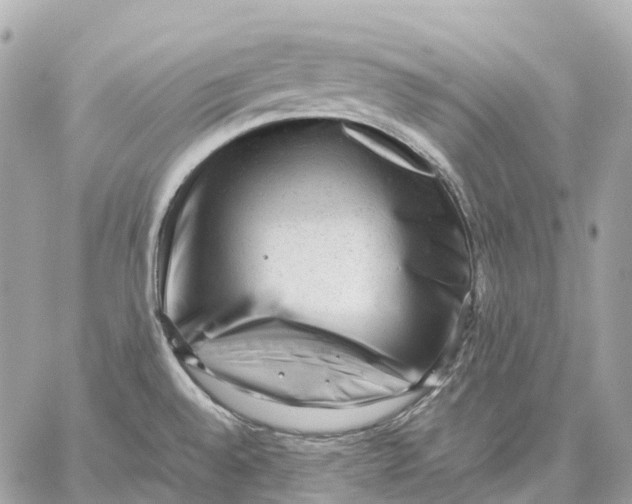 X0000059251528200511041320