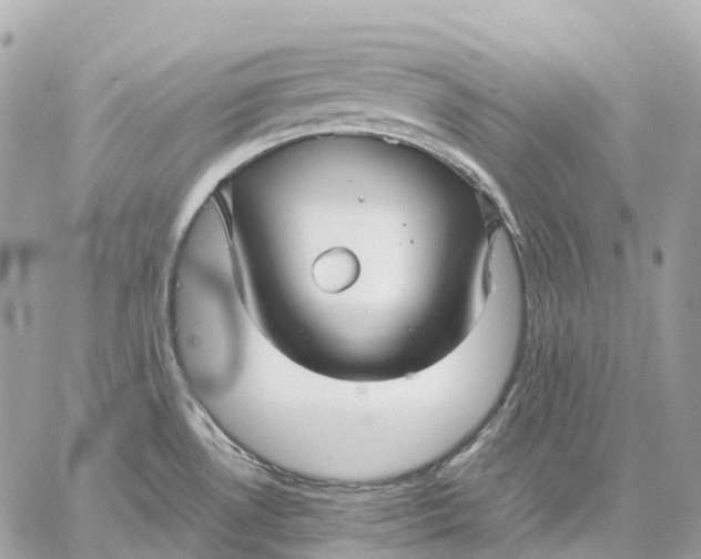 X0000059251530200511041320