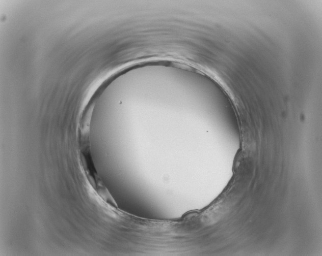 X0000059251532200511041321