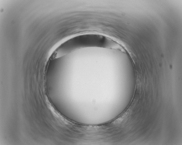 X0000059251534200511041321