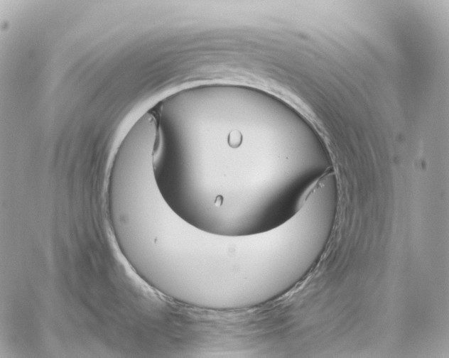 X0000059251536200511041321