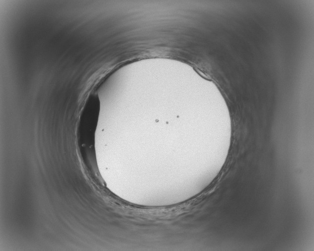 X0000059250001200511111653