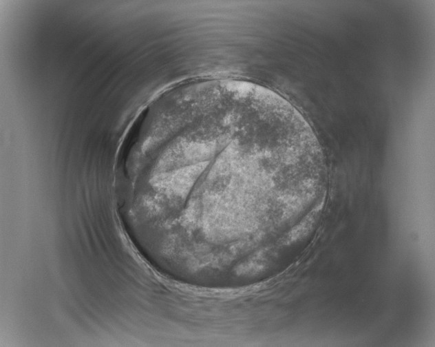 X0000059250002200511111653