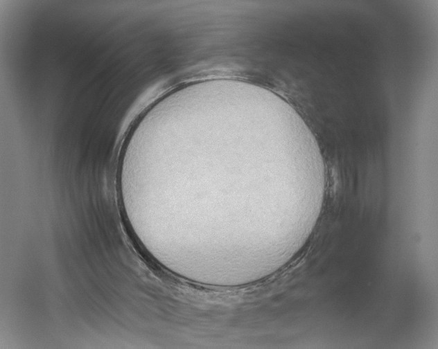 X0000059250004200511111653