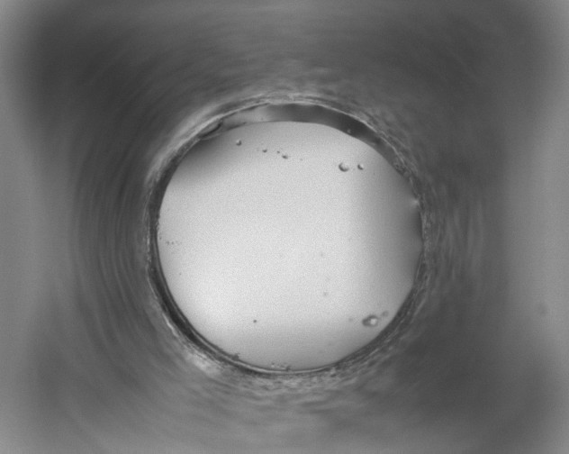 X0000059250005200511111653